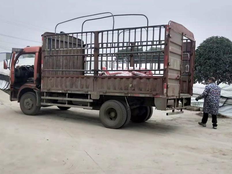 高強無收縮灌漿料型號,采購價格,廠家直銷量大從優(yōu)(圖1)